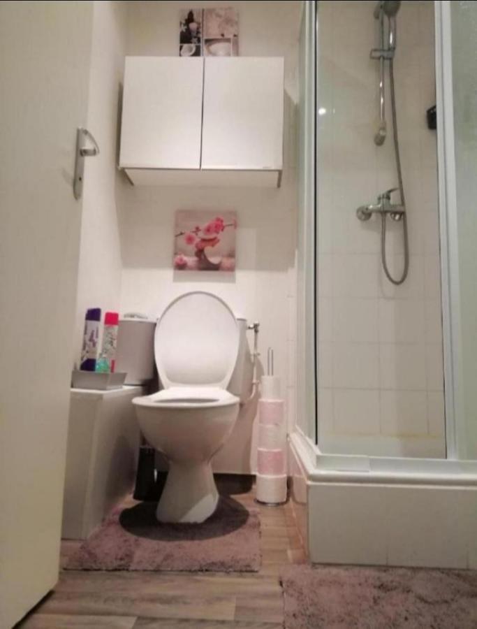 T1 Bis Calme Proche Centre Ville Apartment Сент Етиен Екстериор снимка