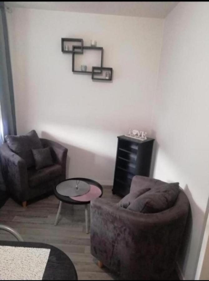 T1 Bis Calme Proche Centre Ville Apartment Сент Етиен Екстериор снимка